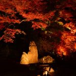 京都の紅葉＆ライトアップで今最も美しいと言われている観光スポットＢＥＳＴ３！